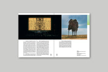 Load image into Gallery viewer, Parallax: Architectural Visualisation Now