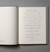 Load image into Gallery viewer, Arboretum