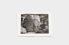 Load image into Gallery viewer, Doing, Seeing; Seeing, Doing