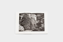 Load image into Gallery viewer, Doing, Seeing; Seeing, Doing