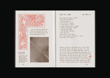 Load image into Gallery viewer, Devils on Horseback, The Cookbook