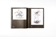 Load image into Gallery viewer, God in Reverse: Art, Architecture and Consciousness