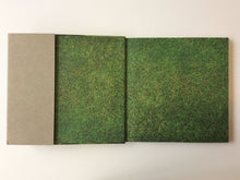 Load image into Gallery viewer, Javier Senosiain: Organic Architecture