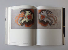 Load image into Gallery viewer, The Living Surface: An alternative biology book on stains by Lizan Freijsen 9789490322779