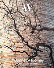 Load image into Gallery viewer, O'Donnell + Tuomey: Contemporary Crafts (AV Monographs 182)