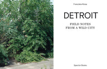 Load image into Gallery viewer, Detroit