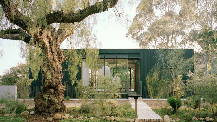 Sydney launch—Therefore Book, Cloaked House