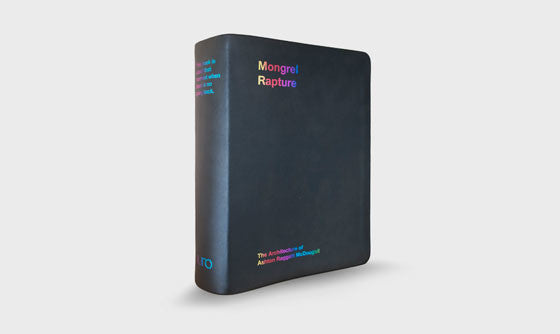 Mongrel Rapture receives Architecture in the Media award