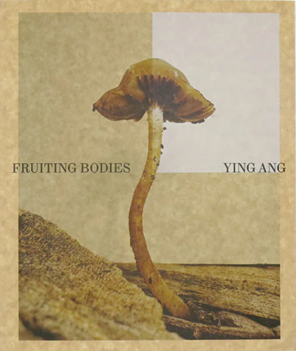 Fruiting Bodies