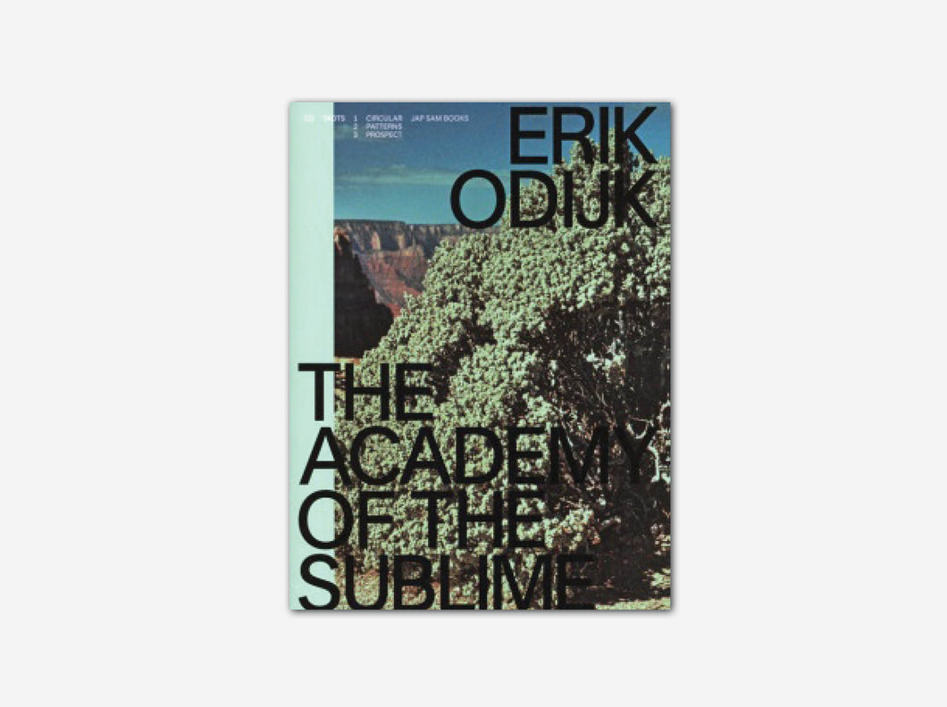 Erik Odijk: The Academy of the Sublime